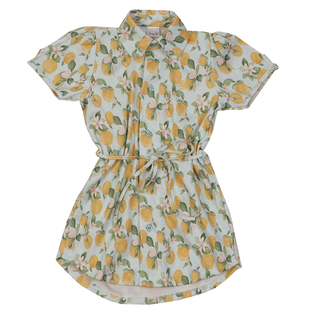 Vestido LIMONERO - 36P/04359/2396