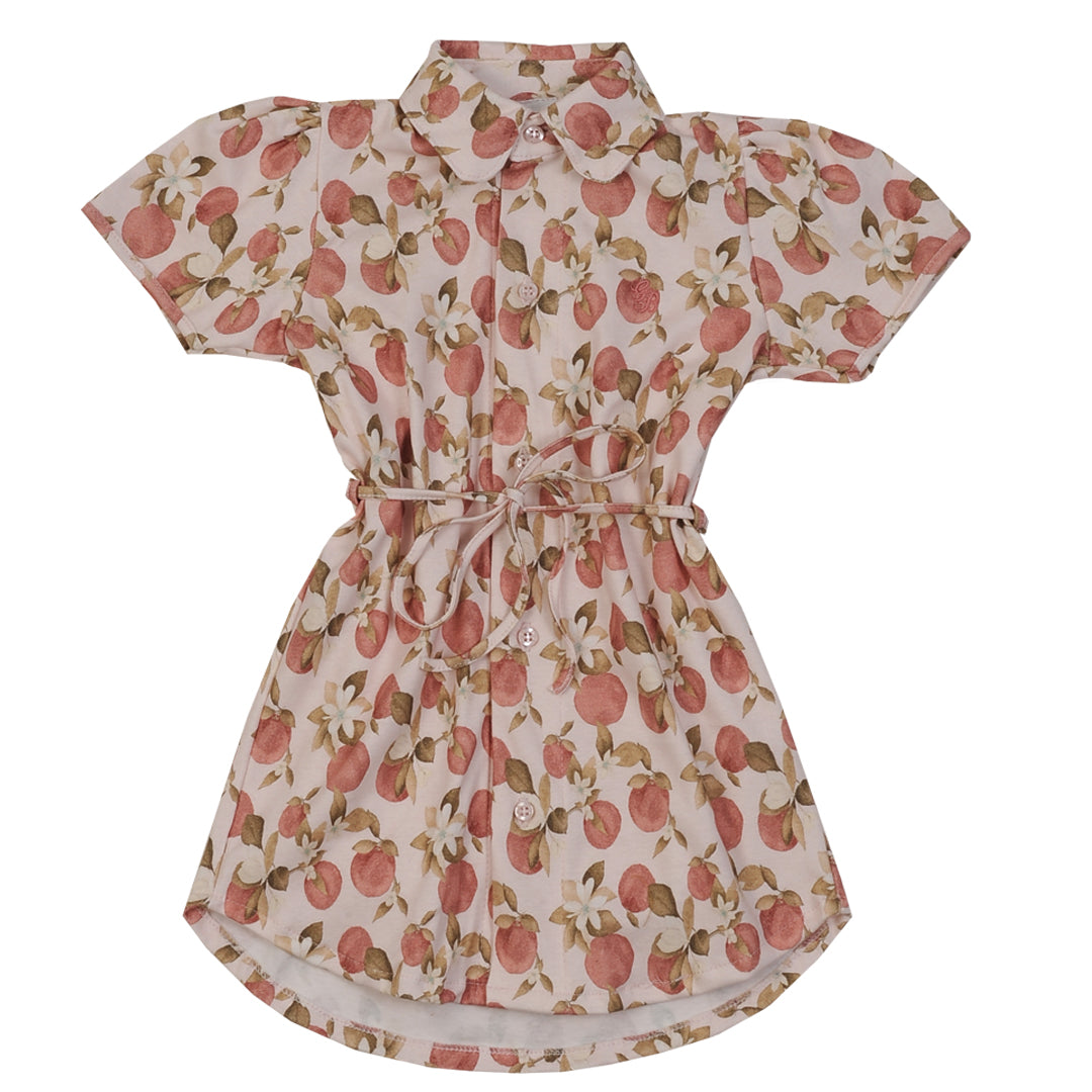 Vestido LIMONERO - 36P/04359/2396
