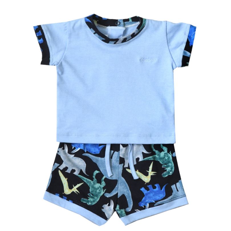 36P/02627/9016 - Conjunto Rex