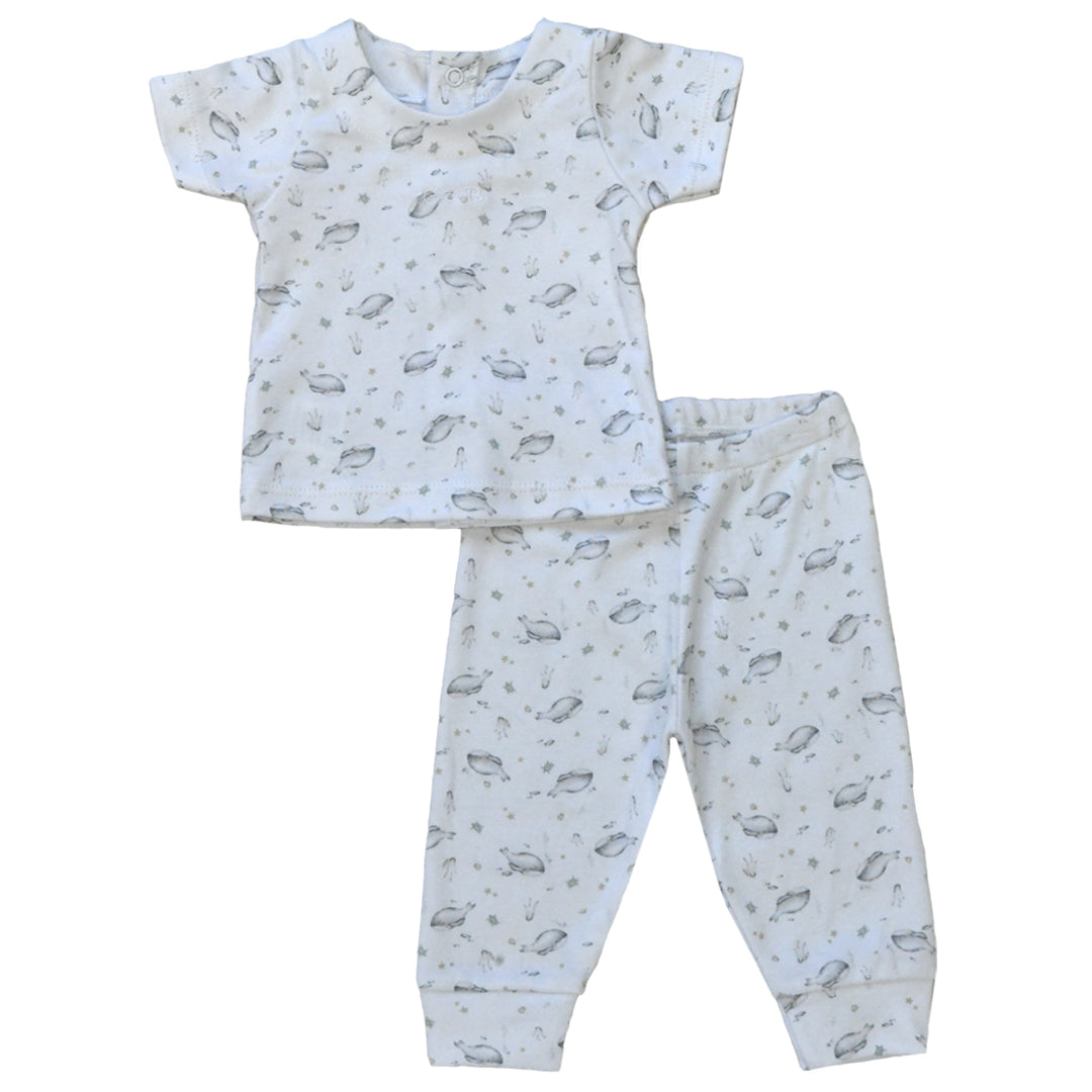 Conjunto BALLENA FRANCA - 40P/02552/2968