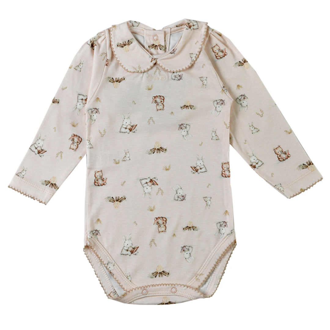 Body - 41P/01017/2255