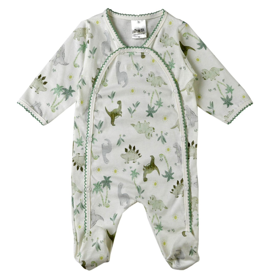 Enterito - 41P/03141/9154