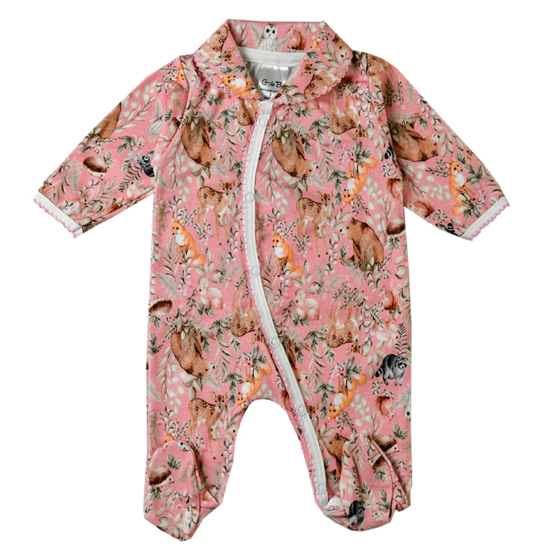 Enterito - 41P/03153/2387