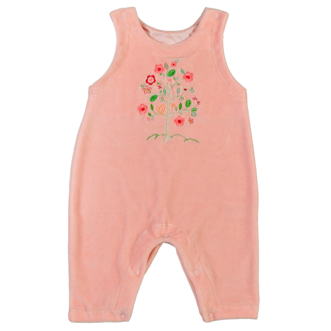 Enterito - 41P/B3851/3001