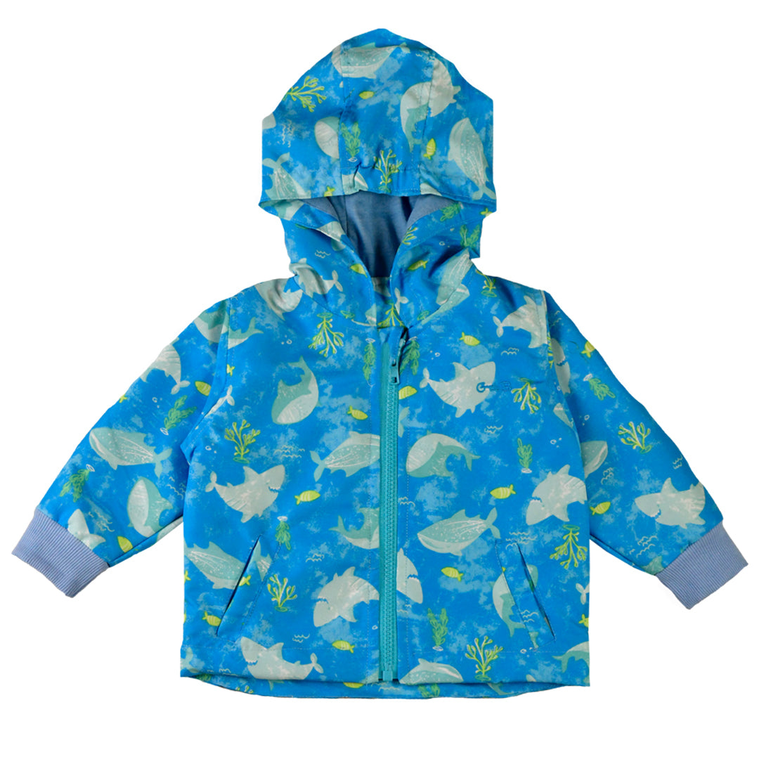 Campera - 42P/01444/1879