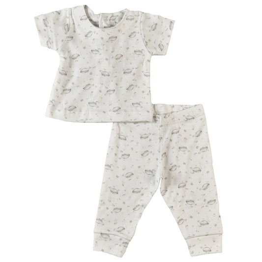 Conjunto BALLENA FRANCA - 42P/02552/2968