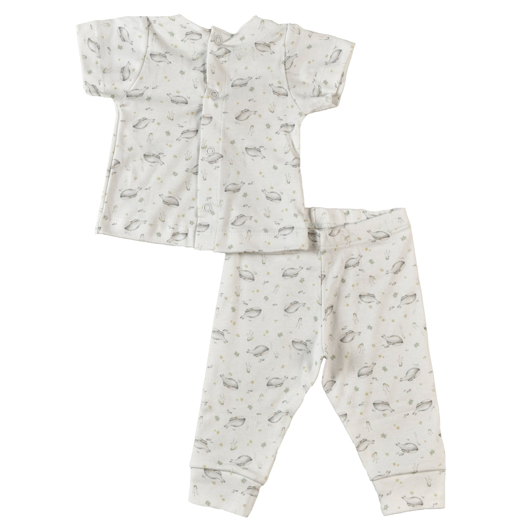 Conjunto BALLENA FRANCA - 42P/02552/2968