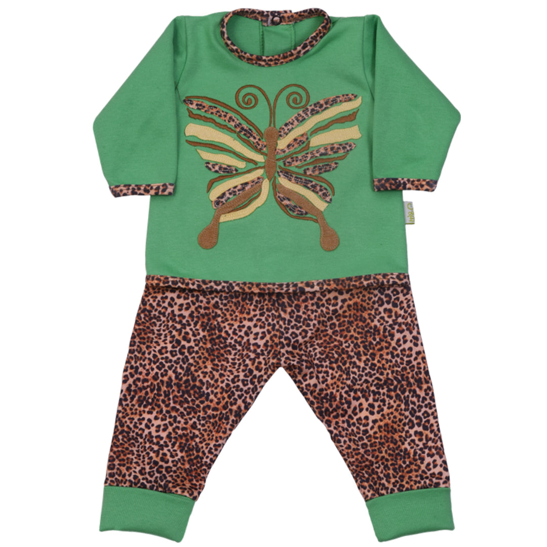 CONJUNTO 23P/H2535/2009
