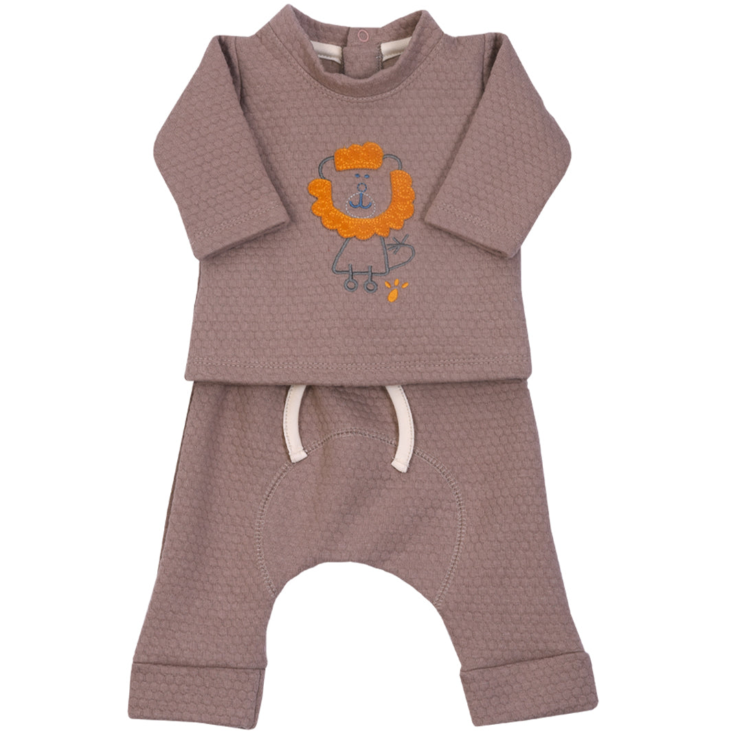 CONJUNTO 29P/B2547/7405