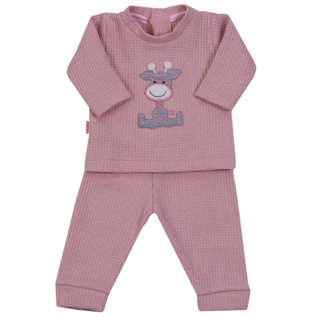 CONJUNTO 29P/C2548/7407