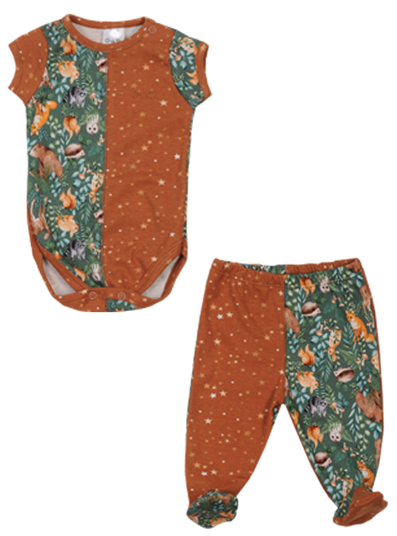 CONJUNTO CODORNIZ - 36P/02907/2395