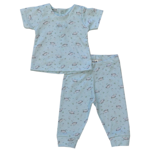 Conjunto BALLENA FRANCA - 40P/02552/2968