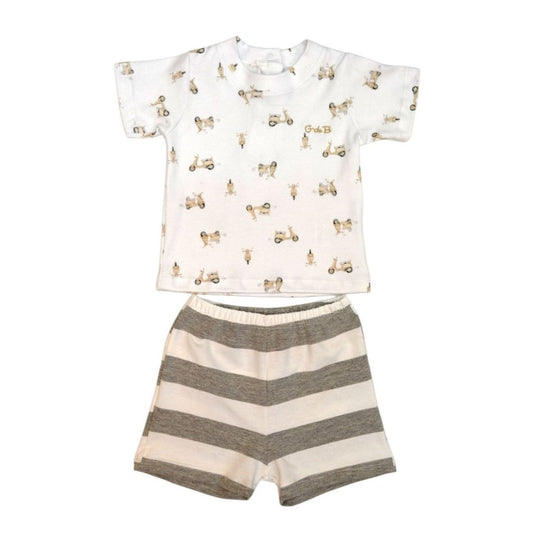 Conjunto VESPA - 40P/02647/2969