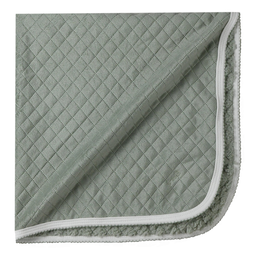 Manta - 41P/00401/3923