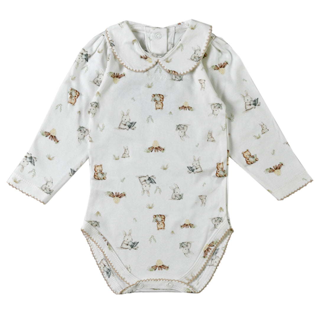 Body - 41P/01017/2255