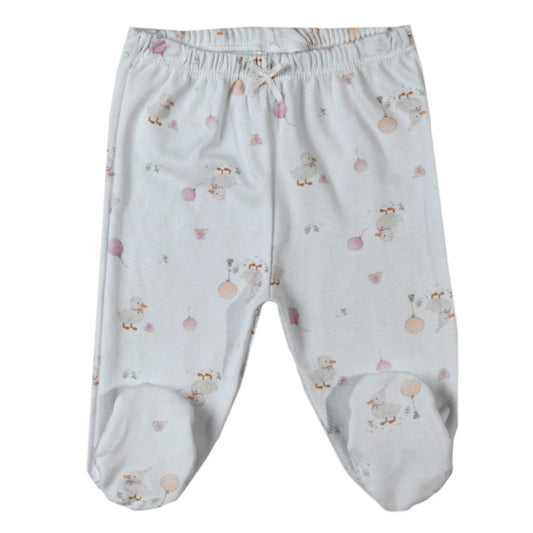 Ranita HABA - 41P/01105/2254