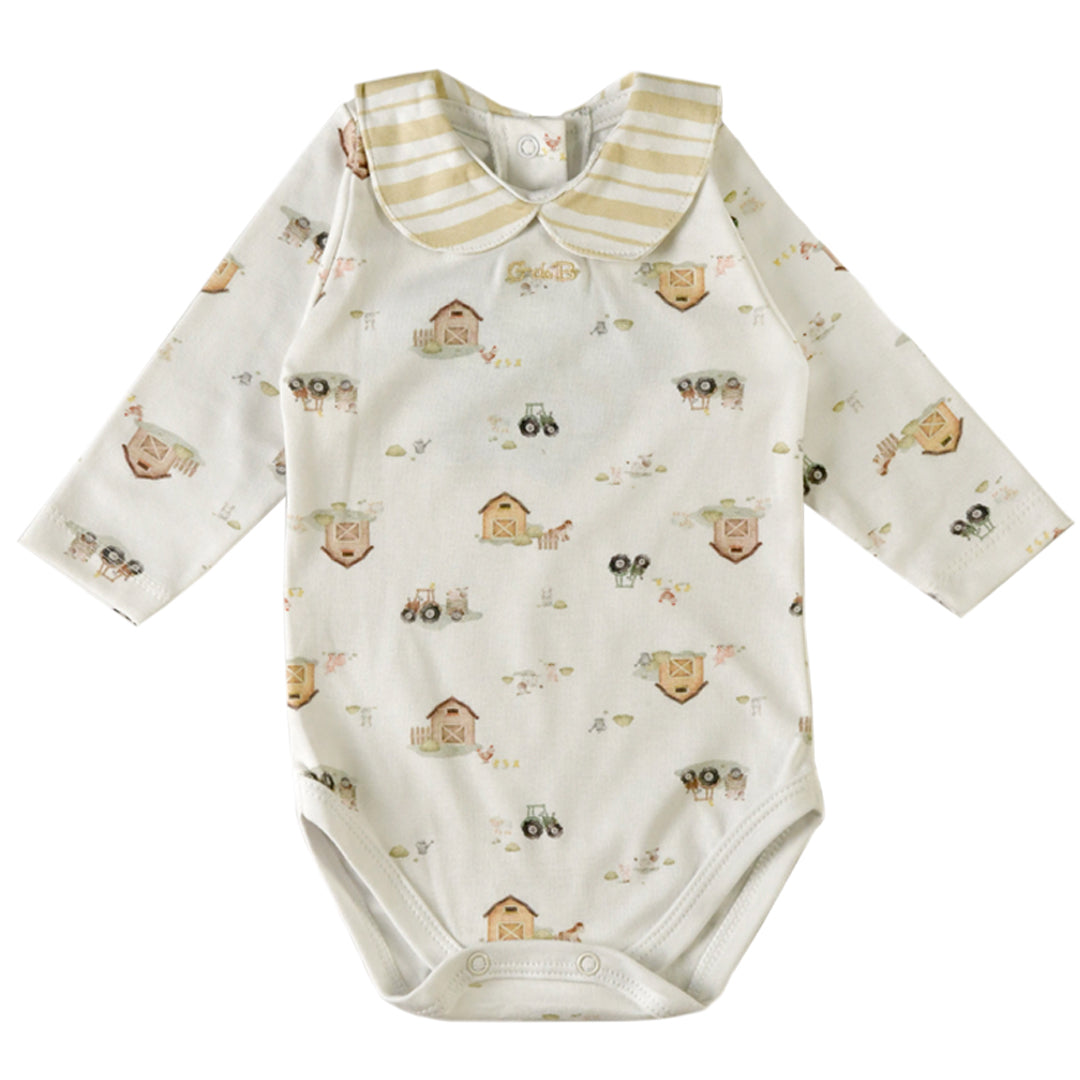 Body - 41P/01208/2501