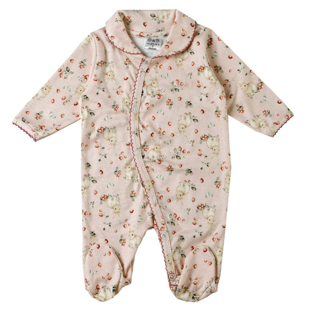 Enterito - 41P/03153/2257