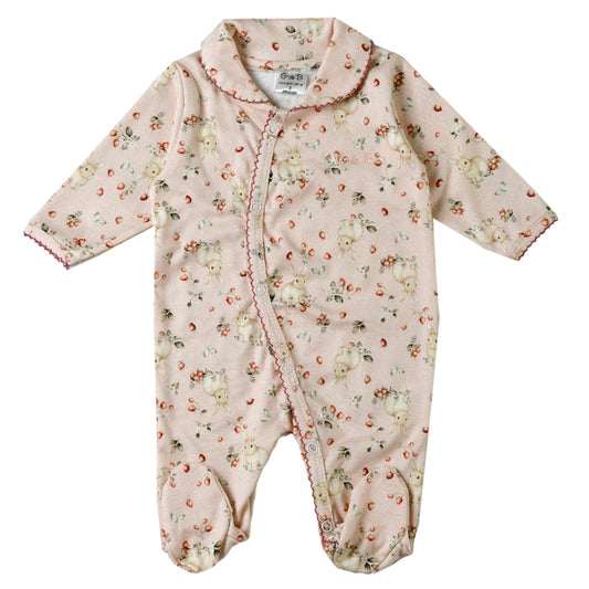 Enterito - 41P/03153/2257