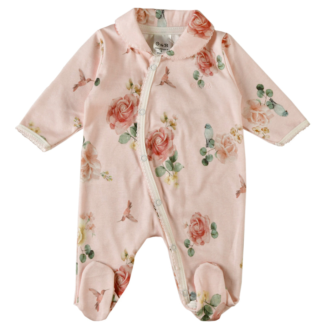 Enterito - 41P/03153/2387