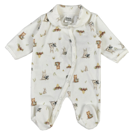 Enterito - 41P/03153/3322