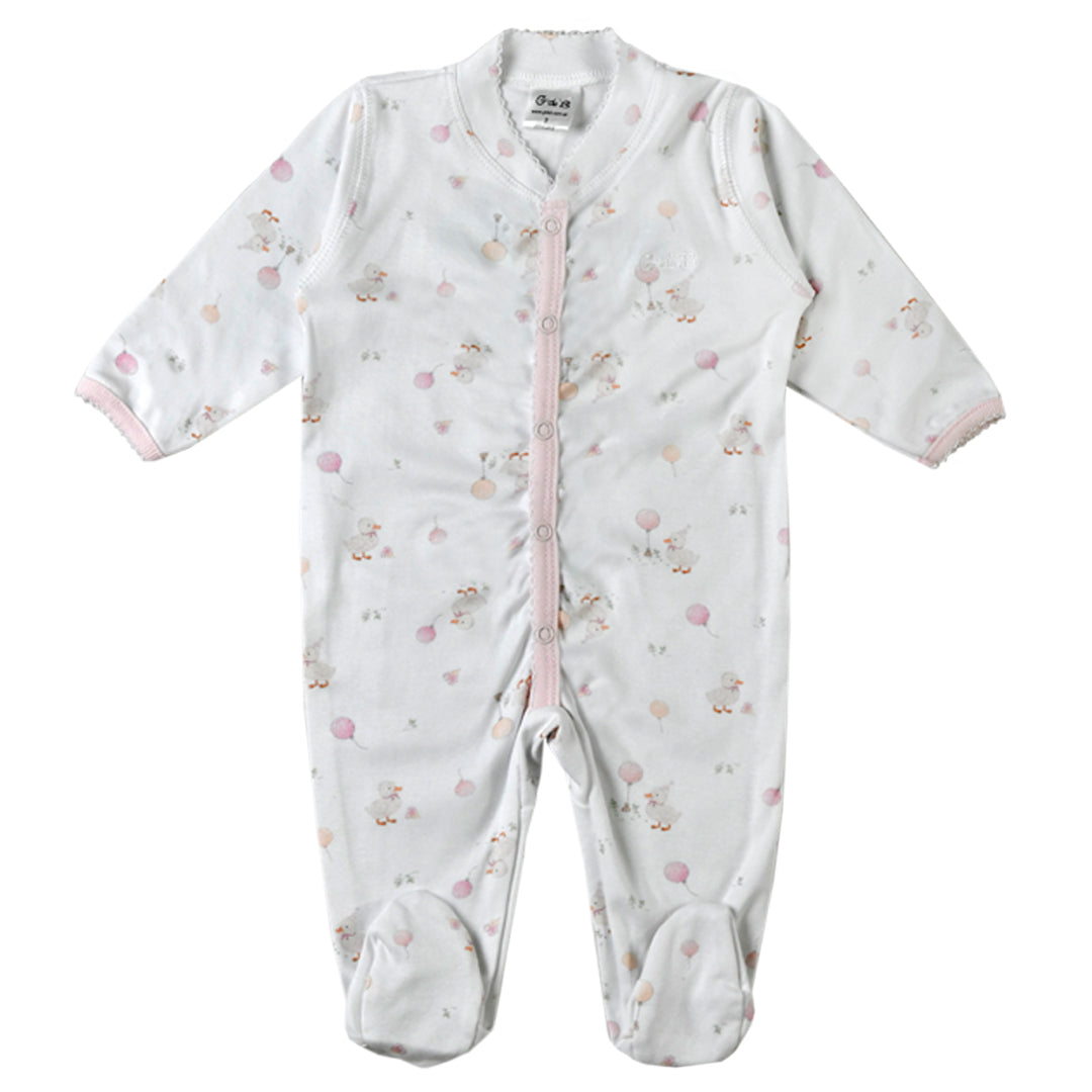 Enterito CALAFATE - 41P/03350/2254