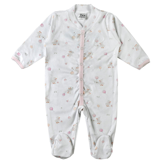 Enterito CALAFATE - 41P/03350/2254