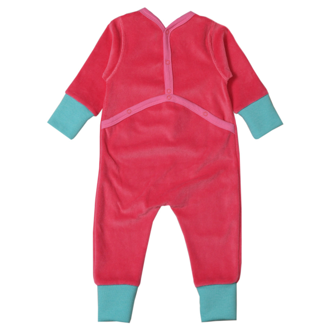 Enterito PECHO AMARILLO - 41P/03424/3001