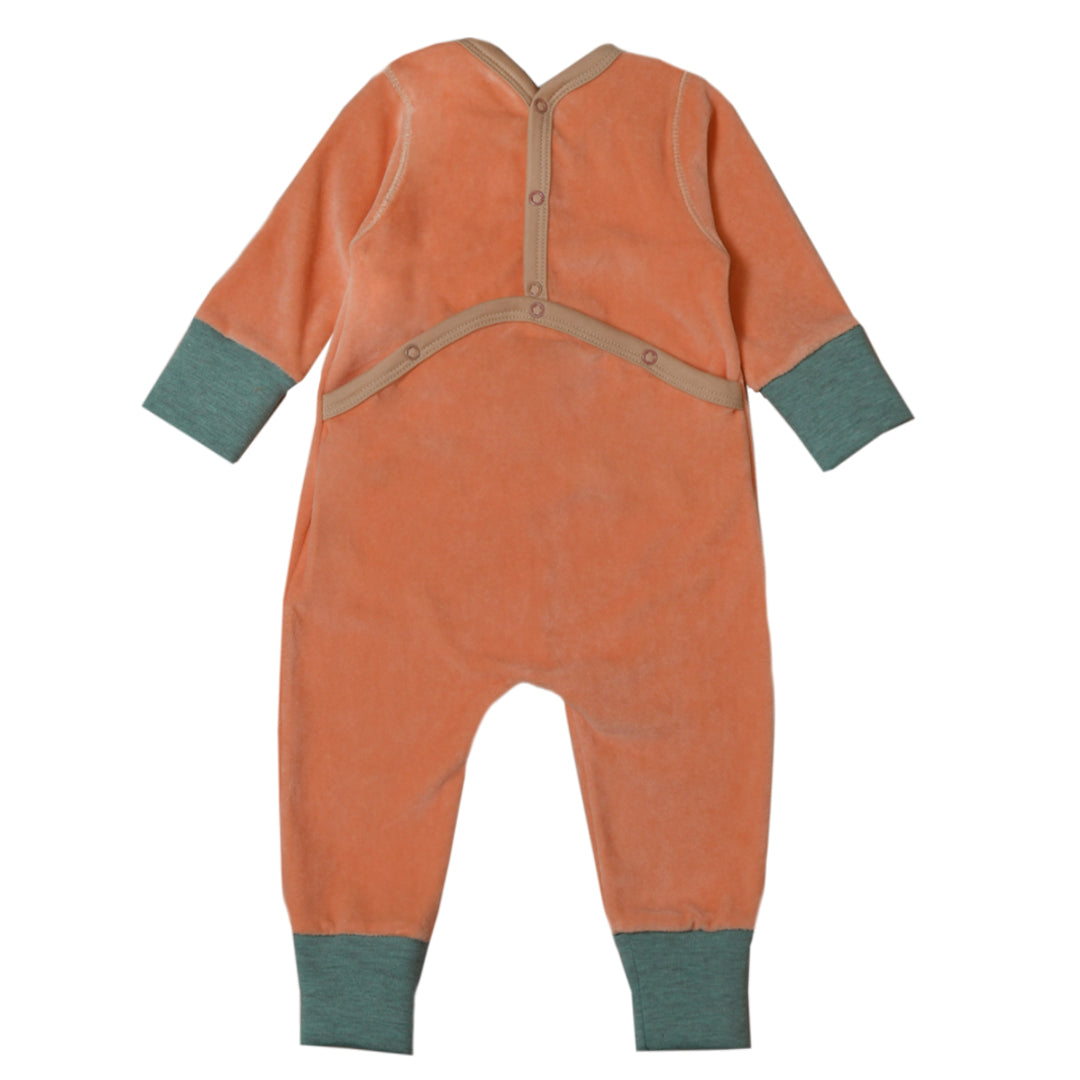 Enterito PECHO AMARILLO - 41P/03424/3001