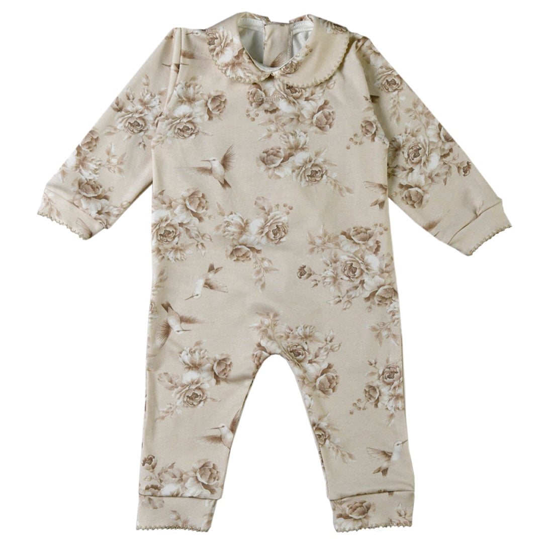 Enterito - 41P/03615/2259