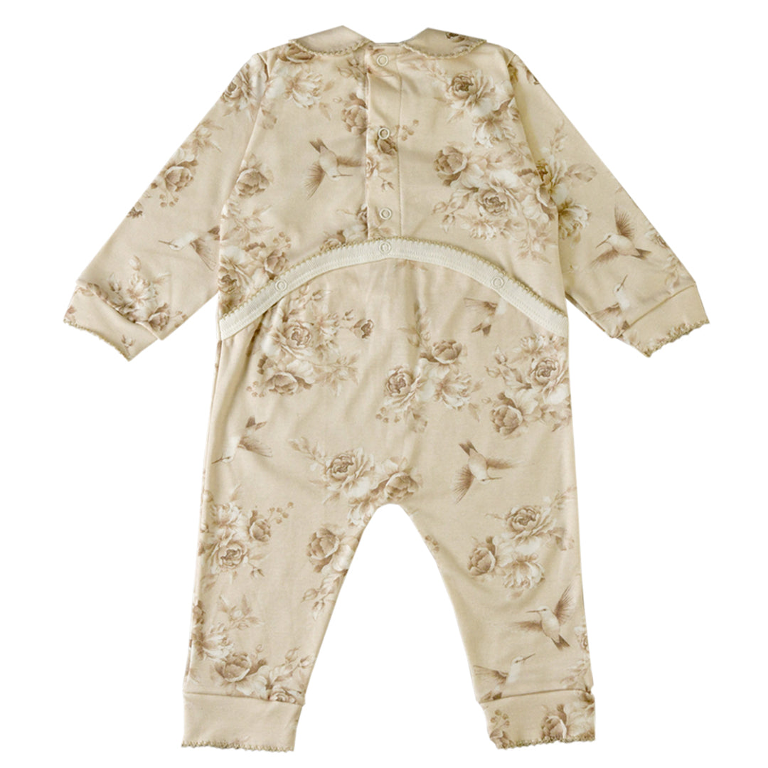 Enterito - 41P/03615/2259