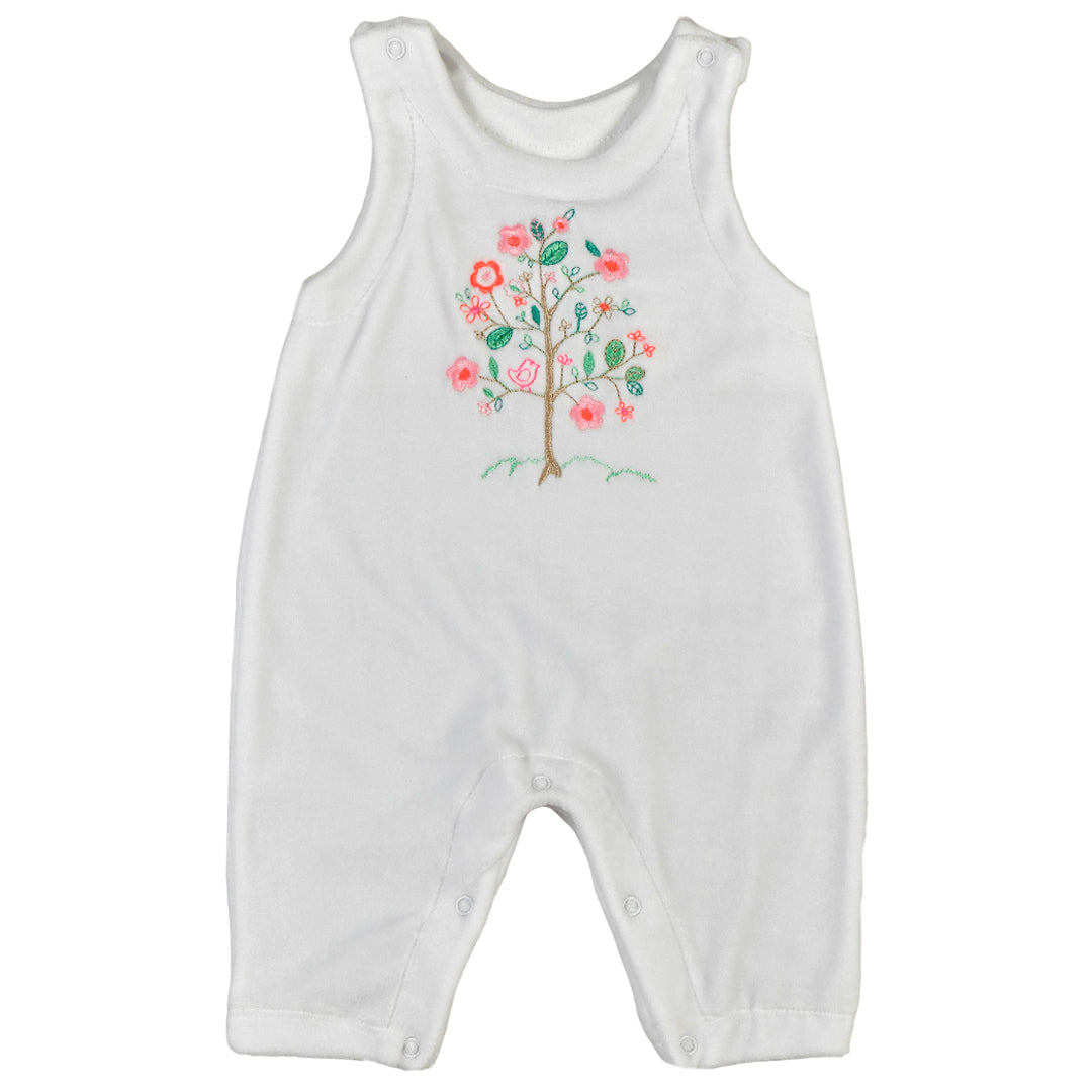 Enterito - 41P/B3851/3001