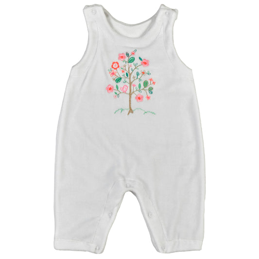 Enterito - 41P/B3851/3001