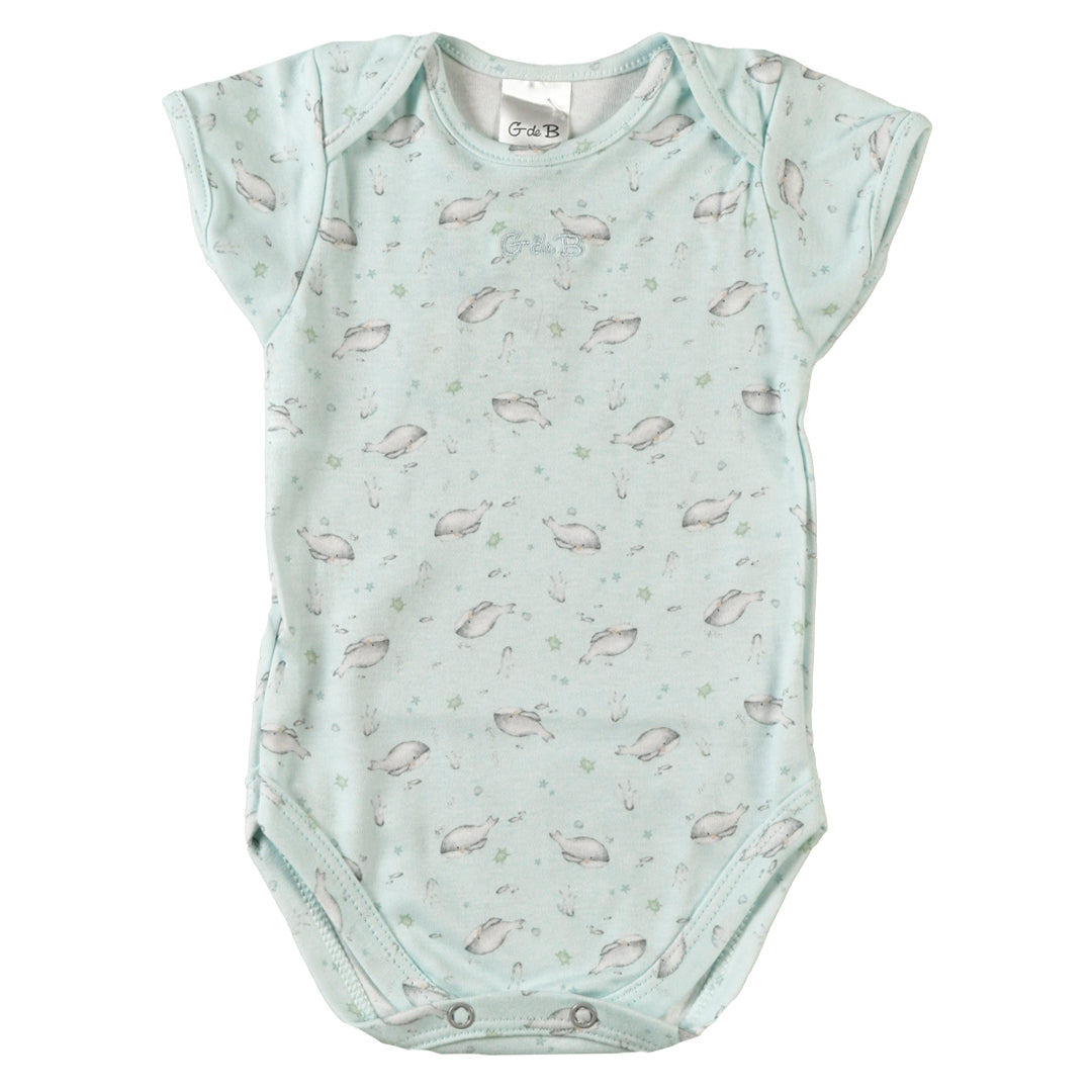 Body BALLENA FRANCA - 42P/01050/2968