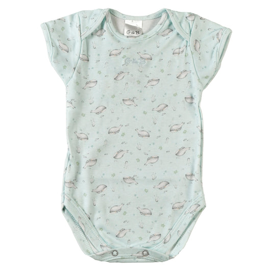 Body BALLENA FRANCA - 42P/01050/2968