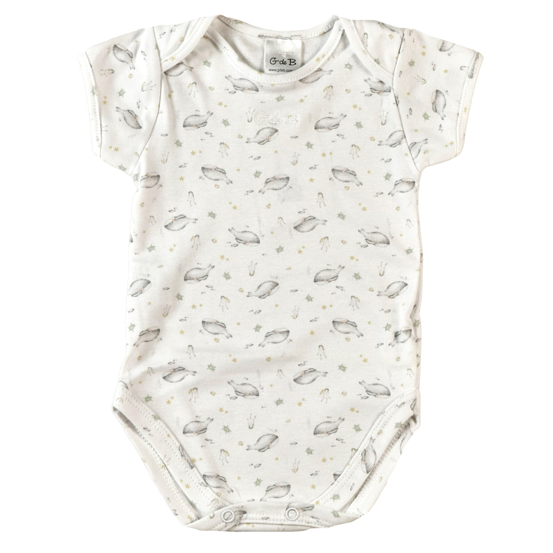 Body BALLENA FRANCA - 42P/01050/2968