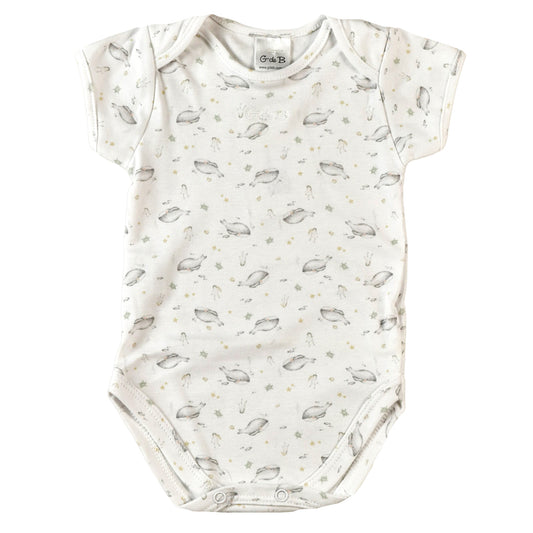 Body BALLENA FRANCA - 42P/01050/2968
