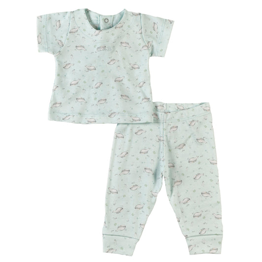 Conjunto BALLENA FRANCA - 42P/02552/2968