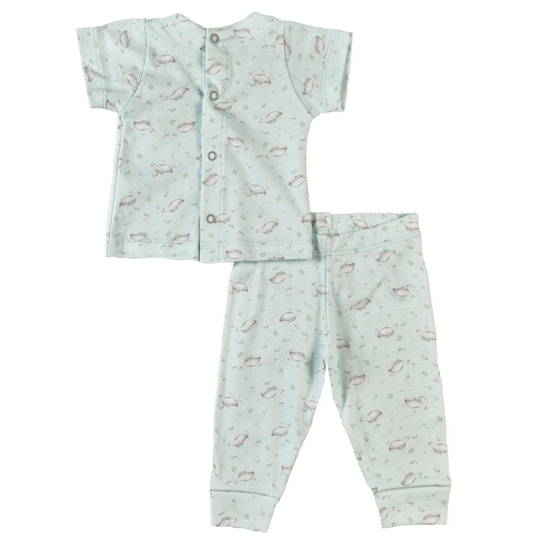 Conjunto BALLENA FRANCA - 42P/02552/2968