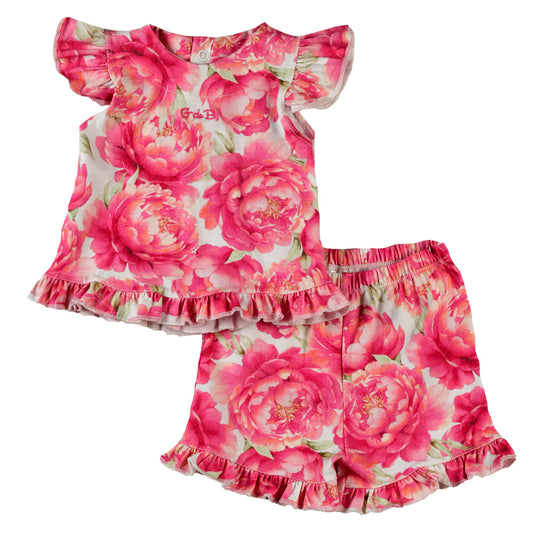 Conjunto PRIMULA - 42P/02635/4112