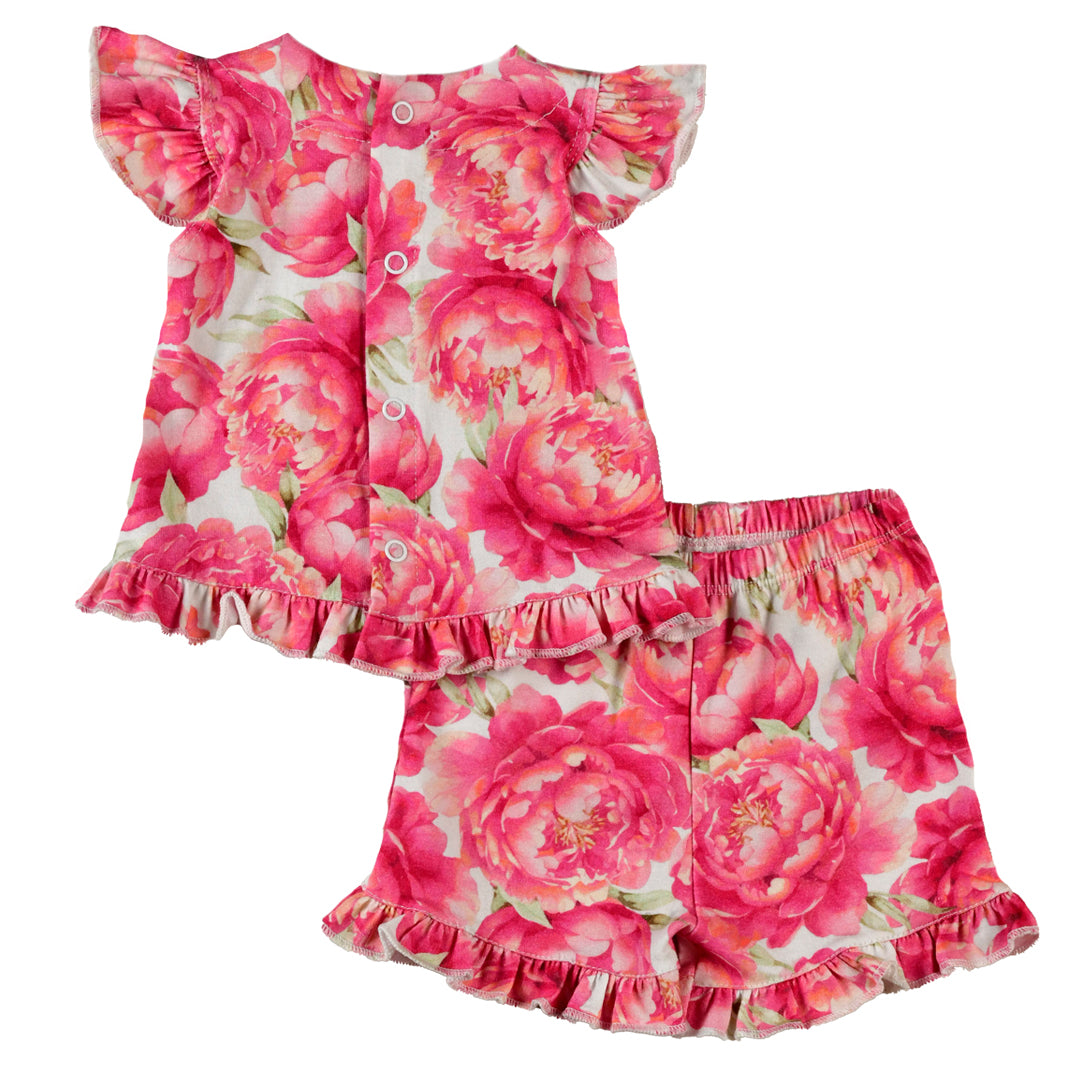 Conjunto PRIMULA - 42P/02635/4112