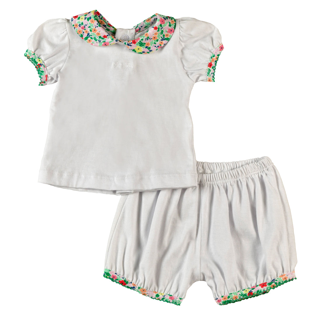 Conjunto PINGÜINO - 42P/02655/9008