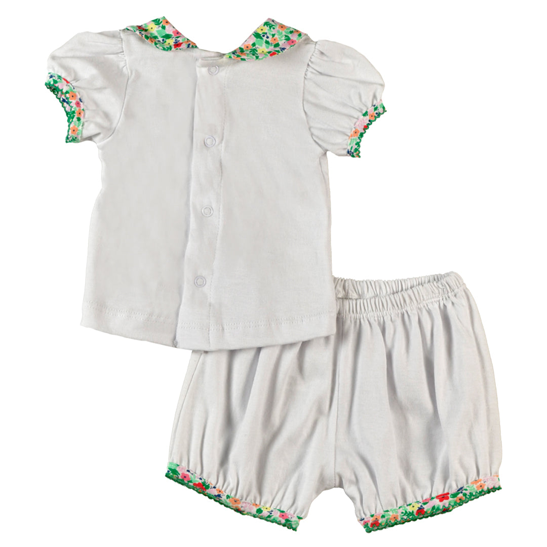 Conjunto PINGÜINO - 42P/02655/9008